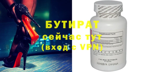шишки Няндома