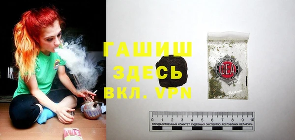шишки Няндома