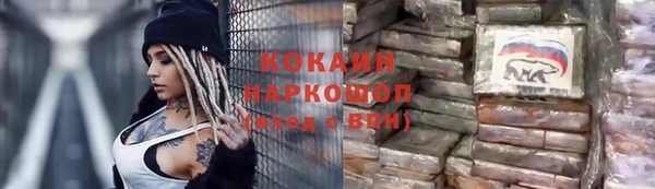 шишки Няндома