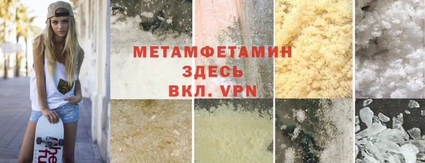 шишки Няндома