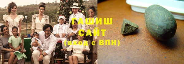 шишки Няндома