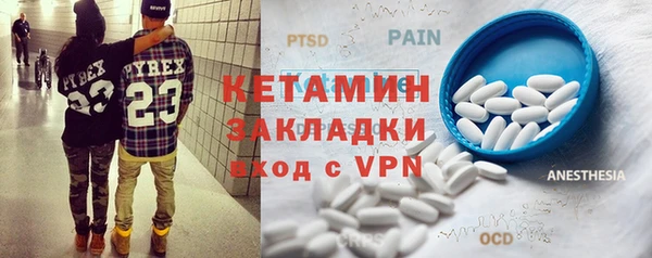 шишки Няндома