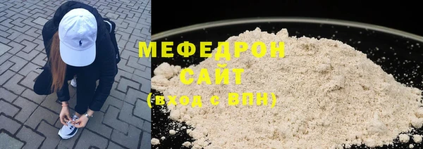шишки Няндома