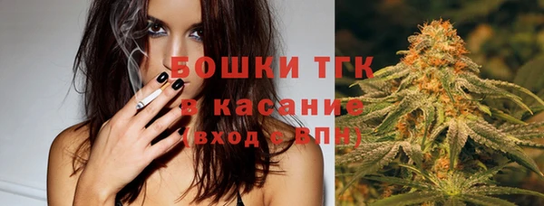 шишки Няндома