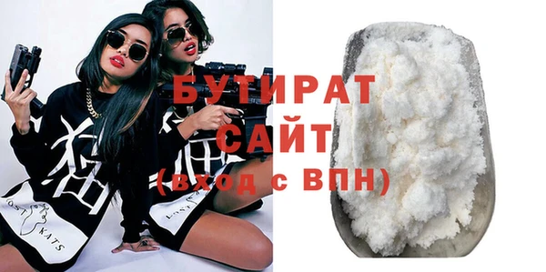 шишки Няндома