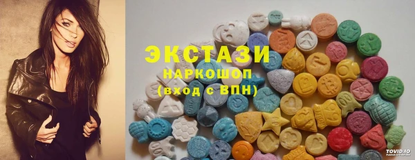 шишки Няндома