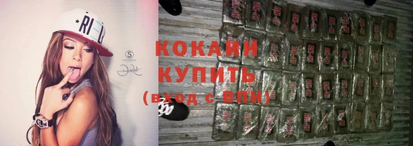 шишки Няндома